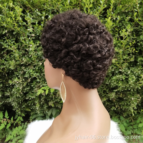 Short Afro Curly Human Hair Wigs for Black Women Short Hairstyles Pixie Cut Wigs with Thin Hair Black Non Lace Hair Wigs